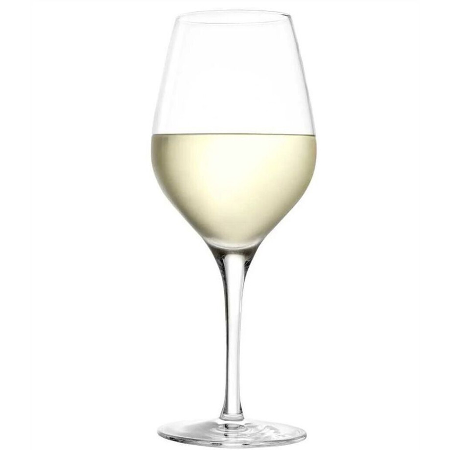 Stölzle Exquisit Weinglas 420 ml - 60er Set Universalgläser Stölzle Exquisit Weinglas 420 ml - 60er Set Universalgläser