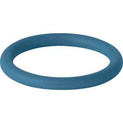 GE Mapress FKM Dichtring - Blau, Durchmesser 108 mm GE Mapress FKM Dichtring - Blau, Durchmesser 108 mm