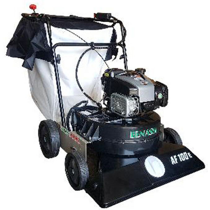 Benassi AF 100 Laubsauger mit Rädern - Briggs & Stratton 675 EXi